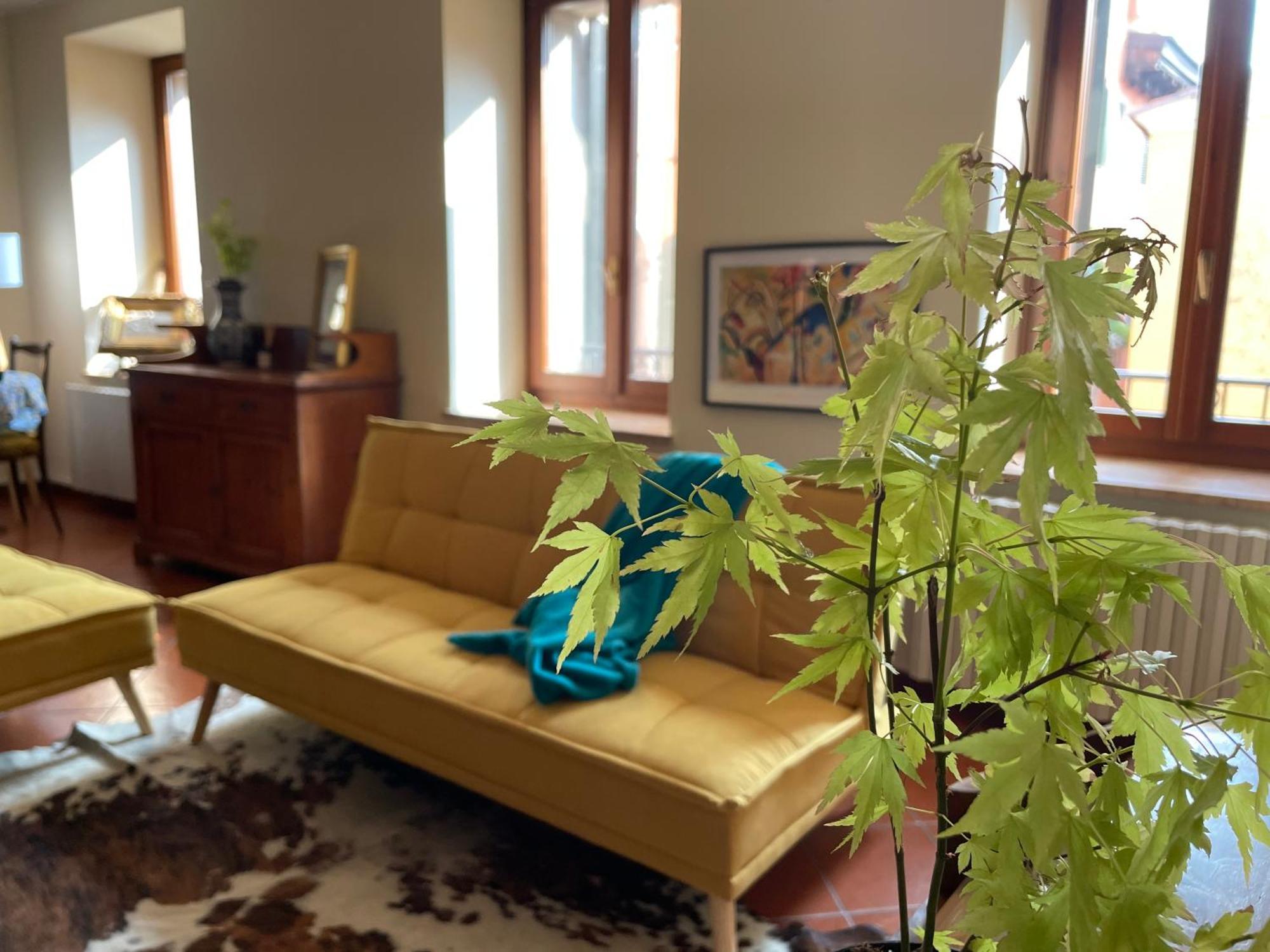 ヴェローナMontecchi Houseアパートメント エクステリア 写真